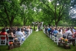Wedding on the Lawn.jpg